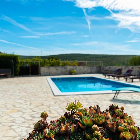 Dalmatian Country House Irena Bruska 外观 照片
