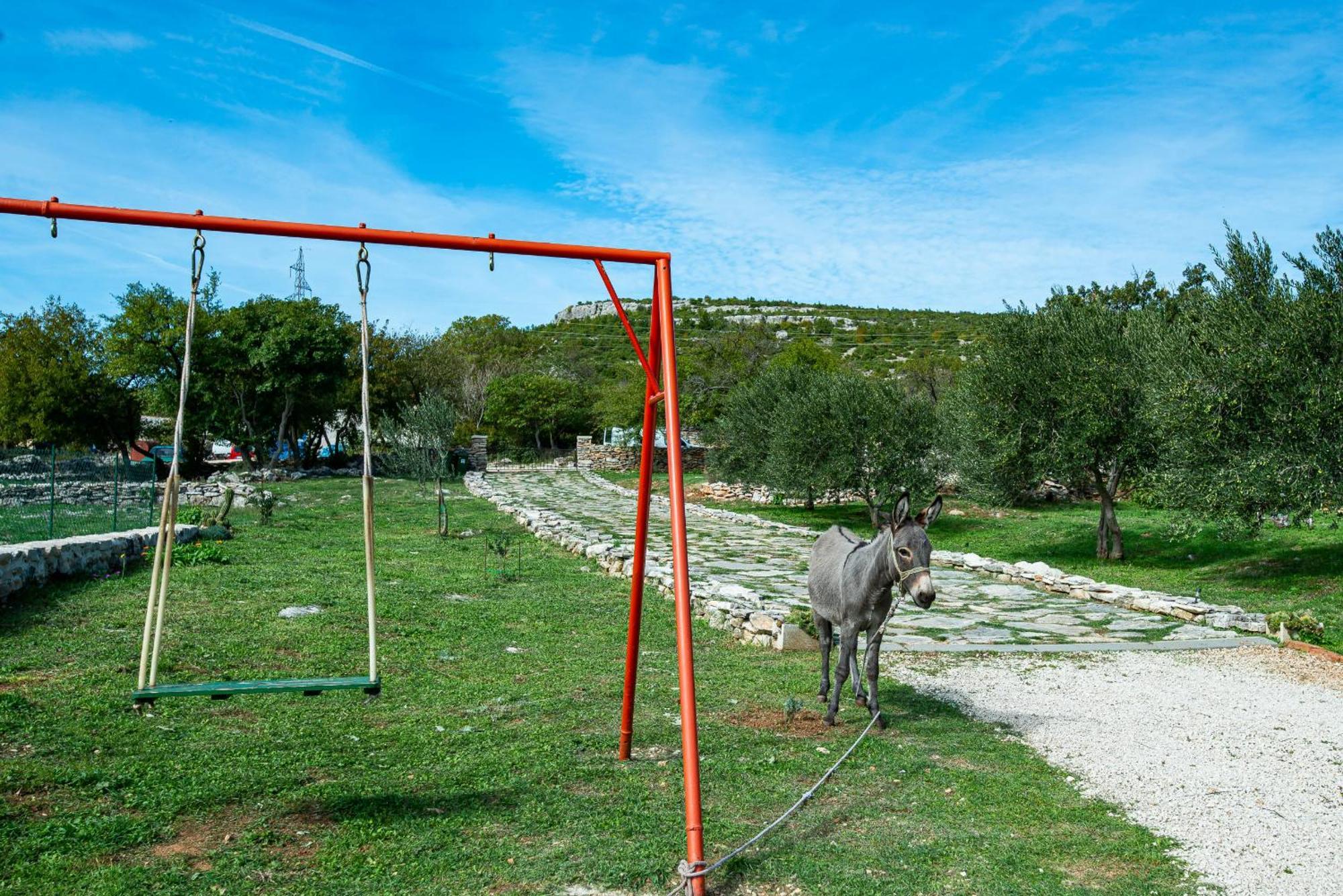 Dalmatian Country House Irena Bruska 外观 照片